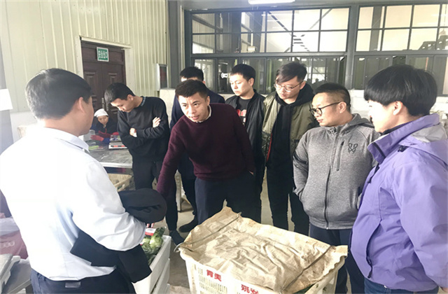 云南青美基地考察