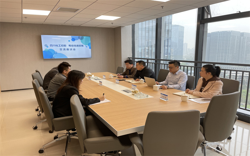 四川化工 (3) 四川化工 (3)